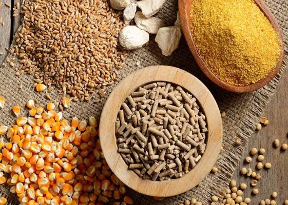 تصویر 5 از خرید مکمل دامی رشد افزا + قیمت عالی باکیفیت